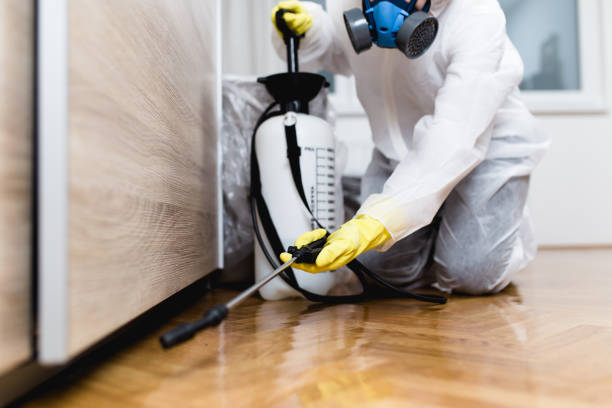Best Pest Inspection Near Me  in Brownsville, LA
