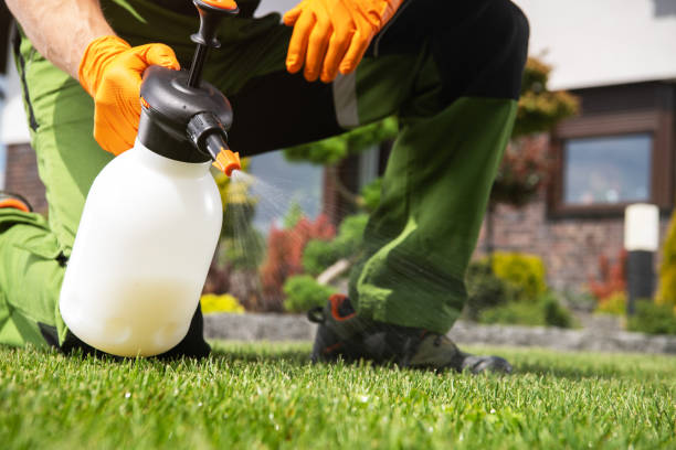 Best Pest Inspection Near Me  in Brownsville, LA
