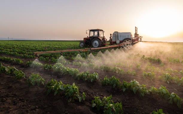 Best Mosquito Control Services  in Brownsville, LA