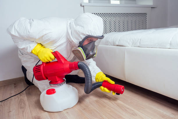 Best Best Pest Control Companies  in Brownsville, LA