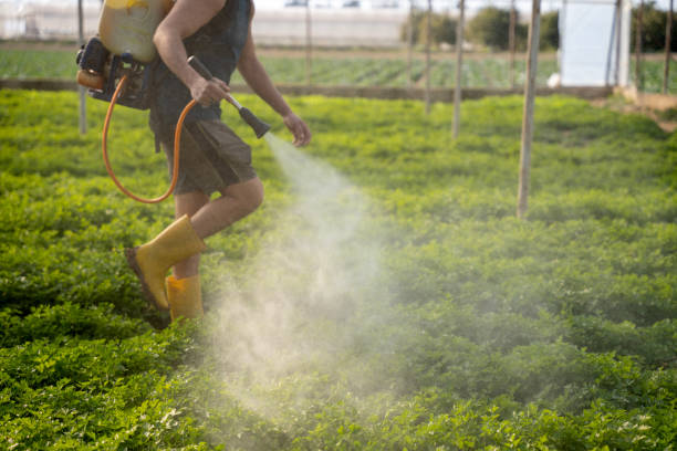 Pest Control for Restaurants in Brownsville, LA