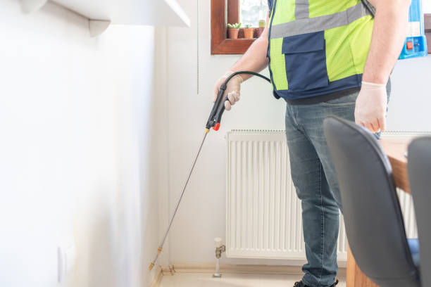 Best Affordable Pest Control Services  in Brownsville, LA