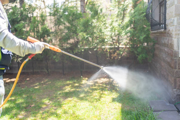 Best Residential Pest Control  in Brownsville, LA