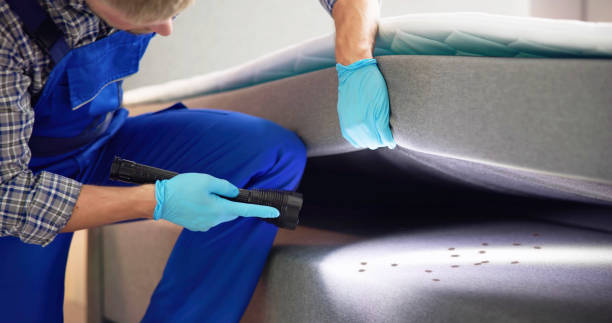 Best Termite Control Services  in Brownsville, LA