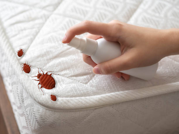 Pest Prevention Services in Brownsville, LA