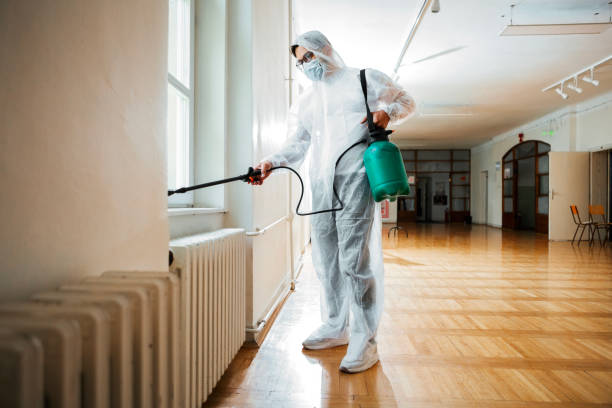 Best Affordable Pest Control Services  in Brownsville, LA
