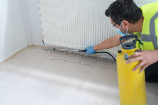 Reliable Brownsville, LA Pest Control Solutions